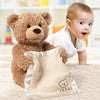 Peekaboo Teddy Bear